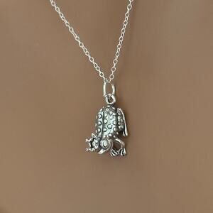 Sterling Silver Enchanting Frog Price Necklace